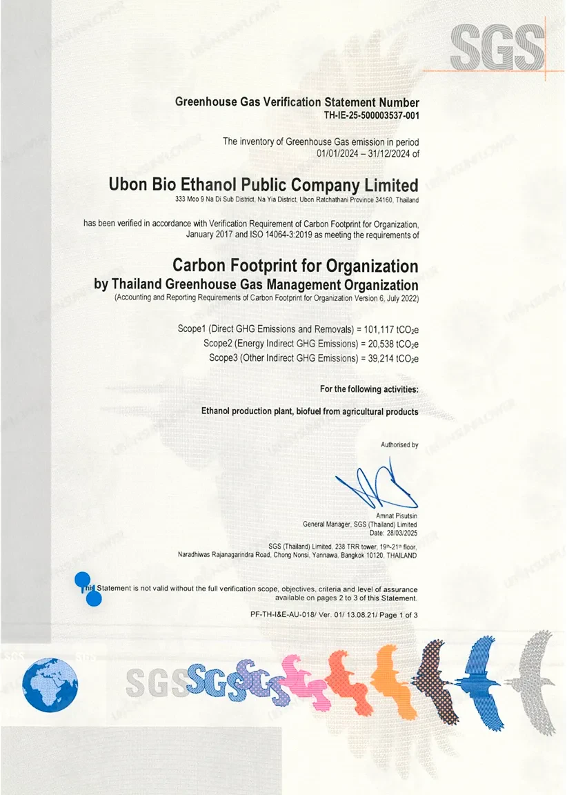 Carbon Footprint for Organization